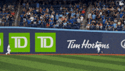 Crashing Blue Jays GIF by Toronto Blue Jays