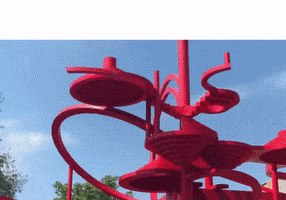 Wright State College GIF by Wright State University