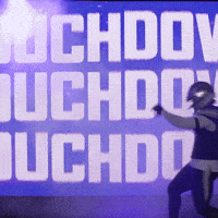 Bow Down University Of Washington GIF by Washington Athletics