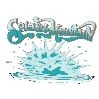 Disney Ride Sticker