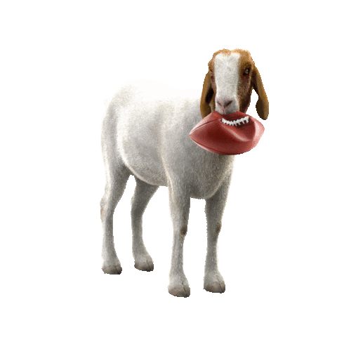 College Football Sticker by Aflac Duck