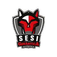 Sesispesporte Sticker by Sesi São Paulo