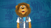 Sad Oh No GIF by ChemnitzerFC