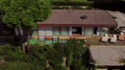 Luxury Villa W Lily Of The Valley French Riviera GIF by Casol