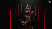 Football Dc GIF by XFL