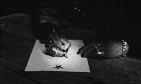 Grey Scale GIF by DUCKWRTH