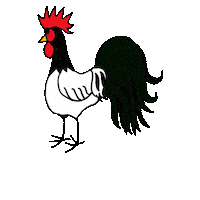 Rooster Chickens Sticker