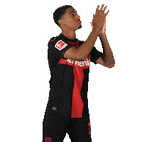 Bayer 04 Football Sticker by Bayer 04 Leverkusen