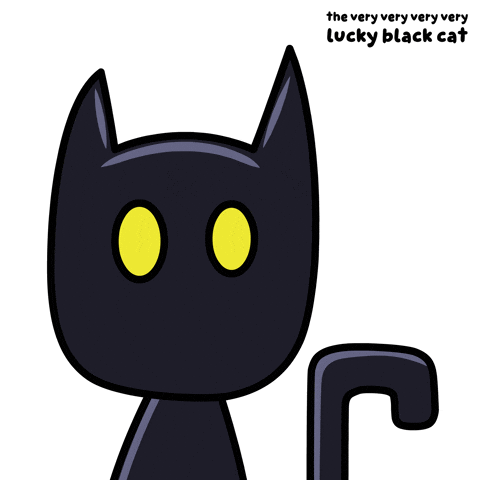 Black Cat What GIF by VeeFriends