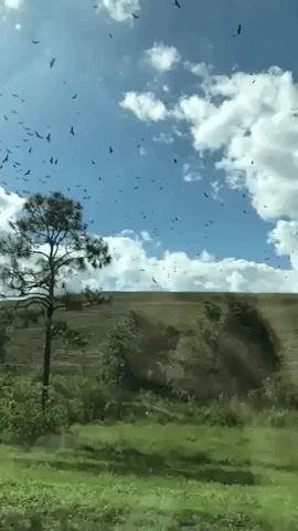 satisfying GIF
