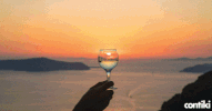 Contiki  GIF