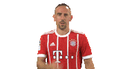 fc bayern love Sticker by Bundesliga