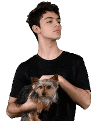 Joaco Joaquinbondoni Sticker by Las Estrellas