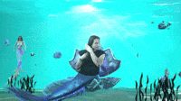 Under the Sea!