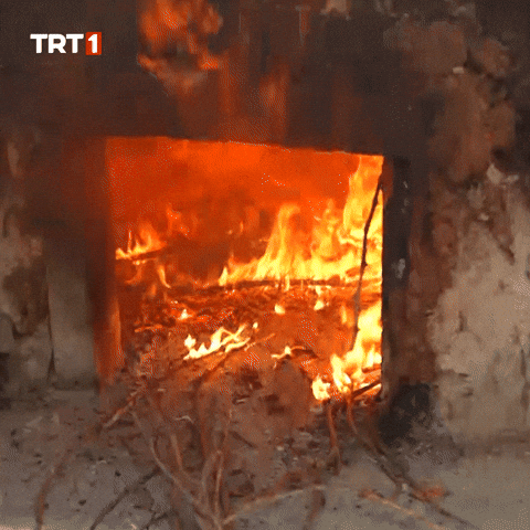 Fire Wow GIF by TRT