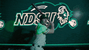 Ndsu Baseball GIF by NDSU Athletics