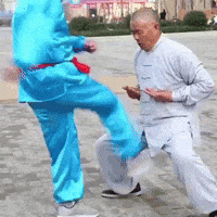 Martial Arts Pain GIF