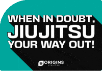 GIF by Origins Martial Arts