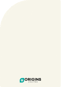 GIF by Origins Martial Arts