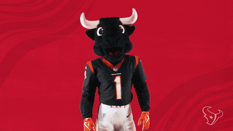 National Football League GIF by Houston Texans