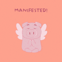 Flying Pig GIF by PositivelyPigasus