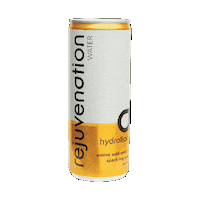 Sparkling London Sticker by Rejuvenation Water