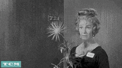 Happy In Love GIF by Turner Classic Movies