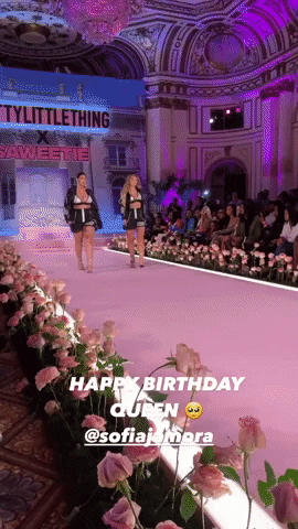 vilecoyote giphyupload GIF