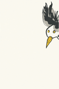 sophieaillustration illustration nature doodle birds GIF
