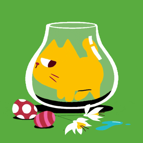 Cat Chocolate GIF by Denner