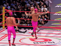 Lucha Libre Wrestling GIF