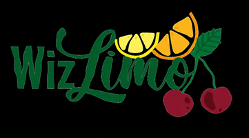 wizlimo logo bio wiz limo GIF