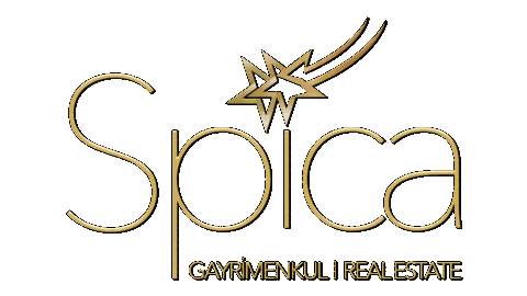 Spica Sticker by spicagayrimenkultr