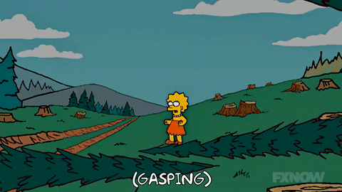 Lisa Simpson Episode 10 GIF by The Simpsons