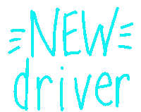 Drivers License Driving School Sticker by 911 Driving School - Hilton Head