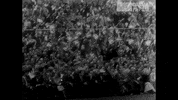 Happy Football GIF by Det Danske Filminstitut