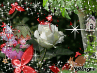 beutiful GIF