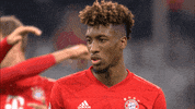 Champions League Football GIF by FC Bayern Munich