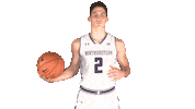 ryan greer Sticker by Northwestern Athletics