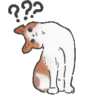 Confused Cat Sticker by nune