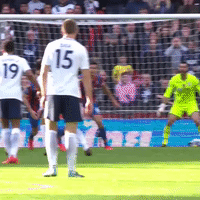 GIF by Tottenham Hotspur