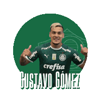 soccer hang loose Sticker by SE Palmeiras