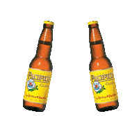 Cheers Salud Sticker by Pacifico Beer