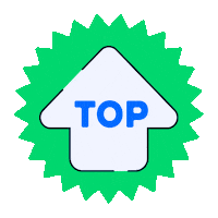 Arrow Top Sticker by Wayra