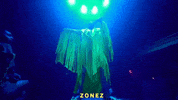suzianalogue suzi analogue suzianalogue zonez GIF