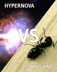 Hydrogen Bomb Ant GIF