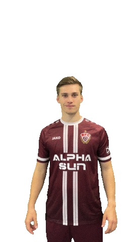 Heart Goal Celebration Sticker by BFC Dynamo