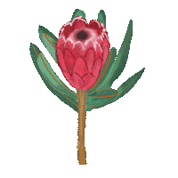 Flower Sticker