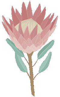 South Africa Wedding Sticker