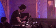 Tomorrowland GIF by Robin Schulz